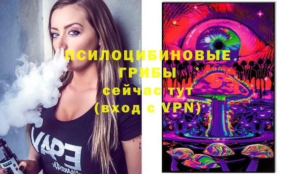 стафф Приозерск