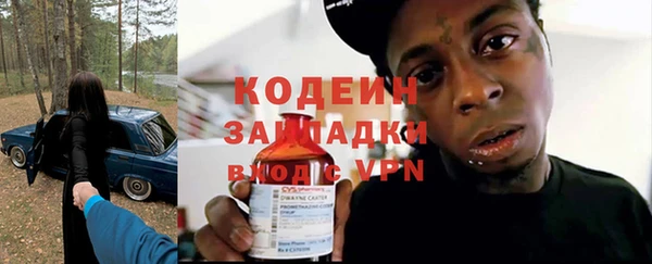 твердый Протвино