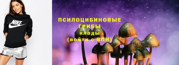 спайс Богданович
