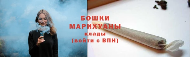 спайс Богданович