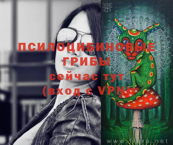 экстази Богородицк