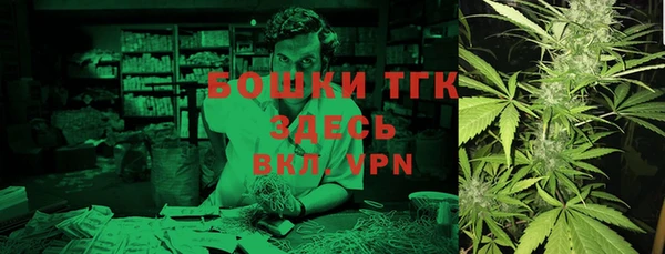 спайс Богданович
