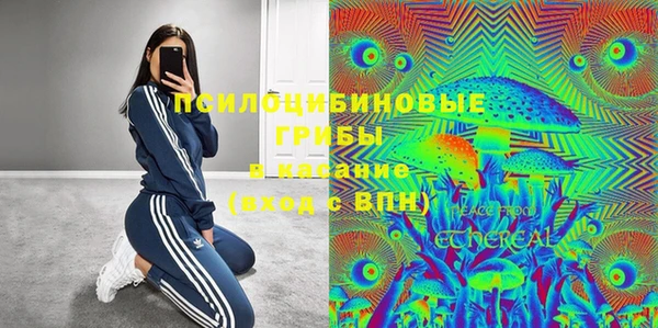 спайс Богданович
