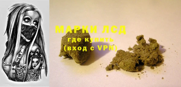 спайс Богданович